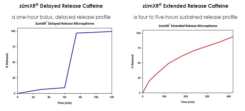 ZumXR Delayed Release Caffeine and Extended Release Caffeine Profiles